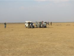 Little Rann of Kachchh